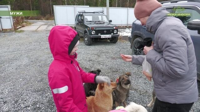 Праздник хвостов и ушей
