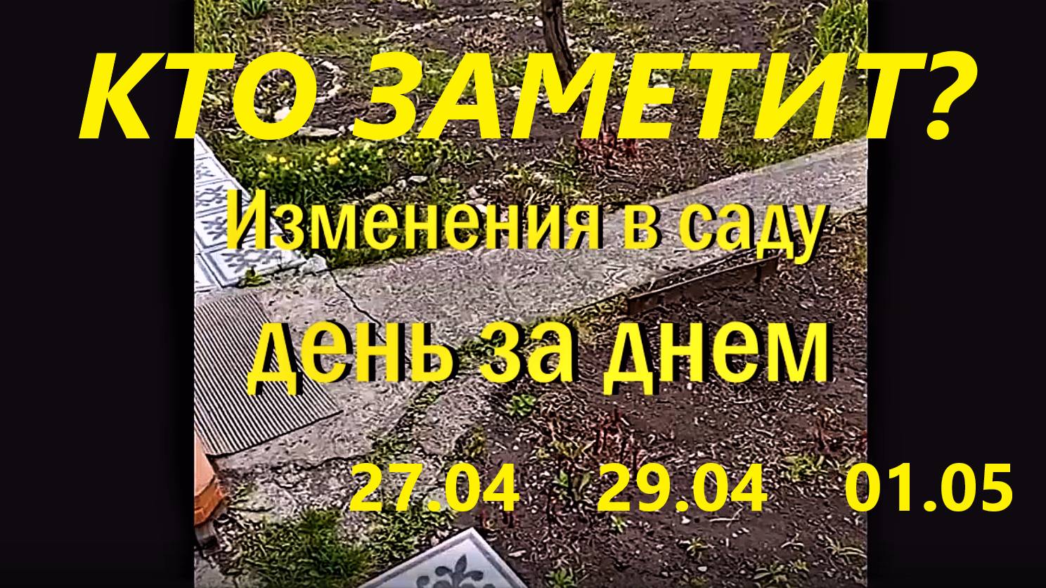Изменения в саду день за днём. 02.05.23