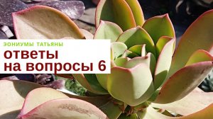 207. Ответы на вопросы - 6