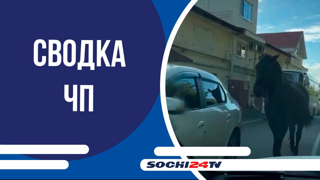 Сводка ЧП