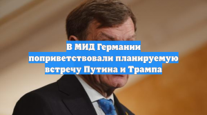 В МИД Германии поприветствовали планируемую встречу Путина и Трампа