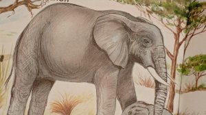 knitted socks Shchelkovo будни от Анны Николаевны