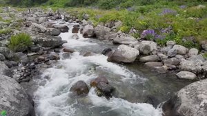 Погрузитесь в мир здоровья, счастья и позитива!!! 🌿