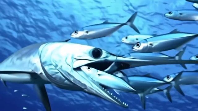 рыба меч смотреть онлайн