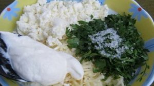 Рулеты из баклажанов с творогом