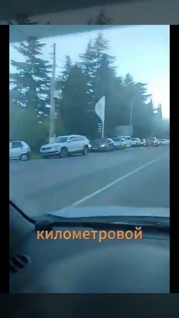 Где бензин? поиск