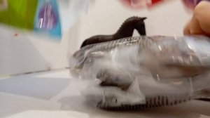 распоковка лошадей шляйх