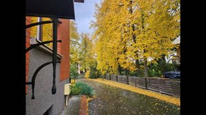 🌈 СТРАНА СЭФЕСТИЯ. 🍁 ＂Осень в Паневежисе...＂. 💦🍂😇