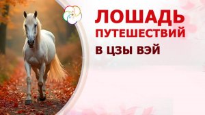 Мастер-класс Путешествующая лошадь в ЦВДШ