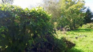 Продается участок мечты