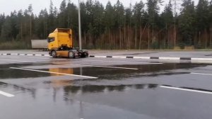 29 - Немного природы сегодня