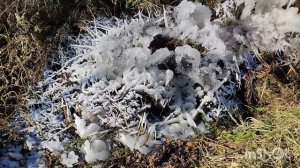 Октябрьская суета