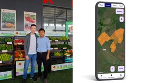 Вебинар от AgroInn Consulting Скрытые ограничения почв = потери на миллионы