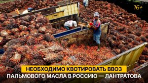 Необходимо квотировать ввоз пальмового масла в Россию — Лантратова