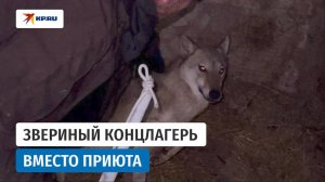 Звериный концлагерь вместо приюта: в Дагестане изымают зверей из домашнего зоопарка