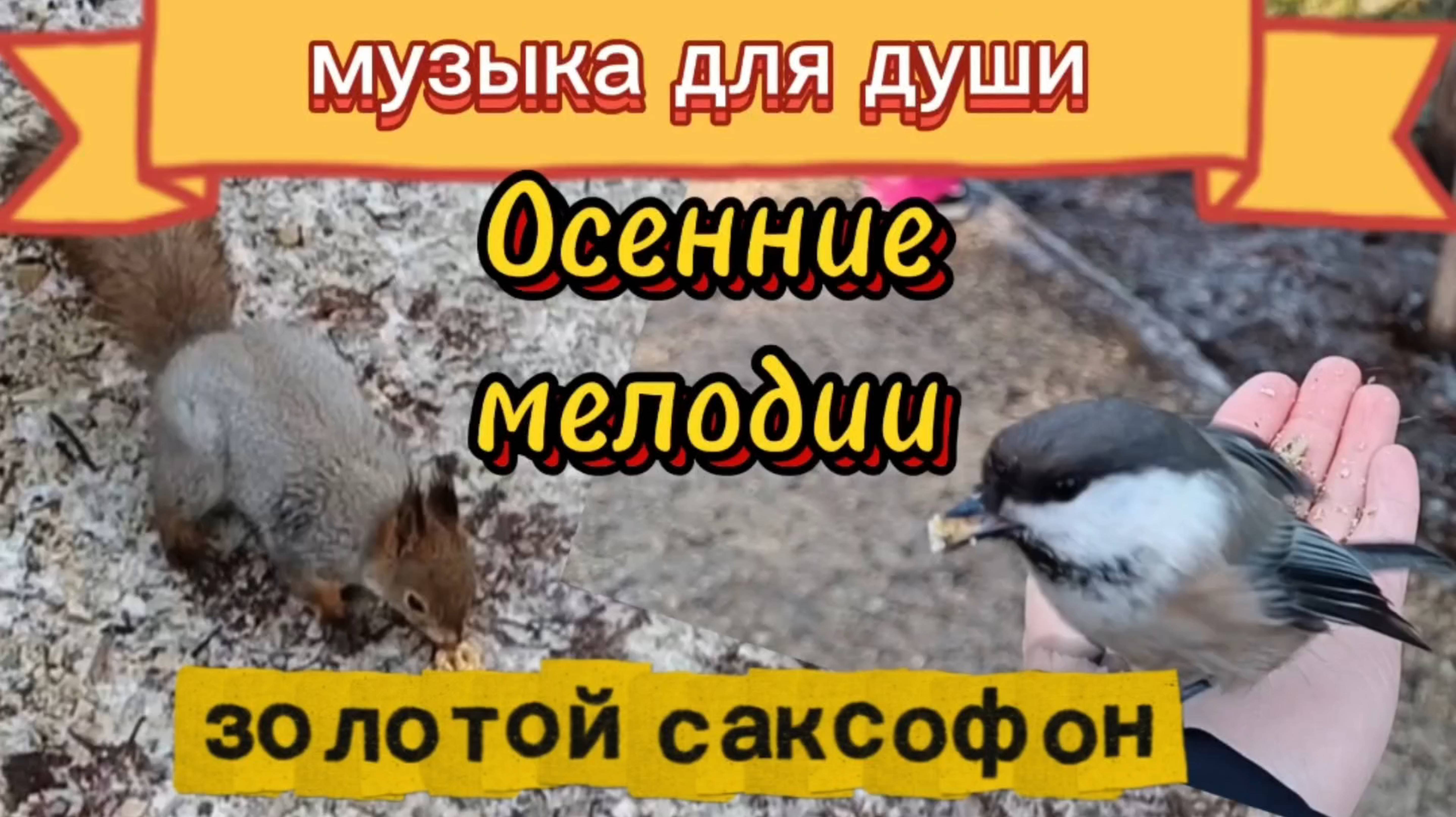 МУЗЫКА ДЛЯ ДУШИ. ЗОЛОТОЙ САКСОФОН.