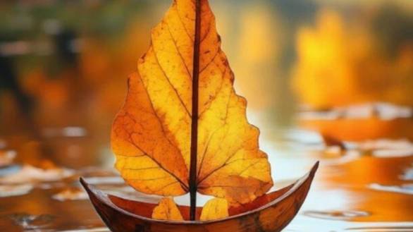 Пожелать доброго вечера и спокойной ночи #красивоепожелание #приятныхснов