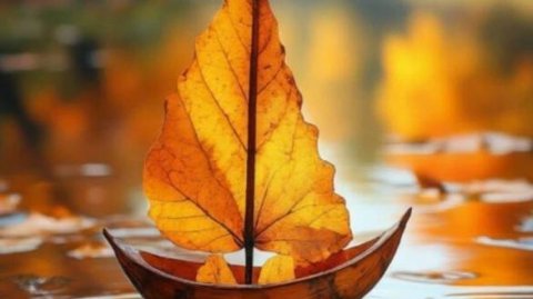 Пожелать доброго вечера и спокойной ночи #красивоепожелание #приятныхснов