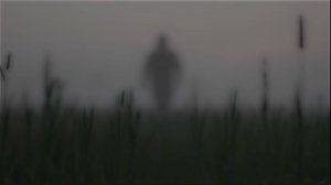 Я стал травой