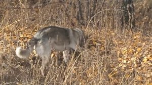 Осень, осень.