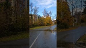 Сегодня в Обнинске 12 октября 2025 г.