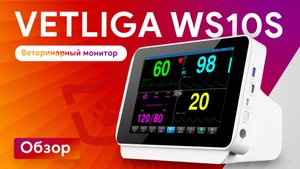 Обзор VETLIGA WS10S: мультипараметрический ветеринарный монитор