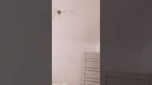 собираюсь в школу