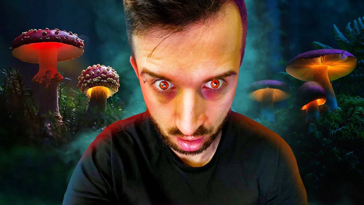 ПОПАЛ В ГРИБНУЮ РОЩУ смотреть онлайн