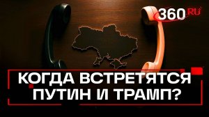 О чем говорили Путин и Трамп во время телефонного разговора и когда будет их встреча