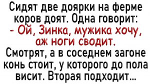 Смешые анекдоты ! ПОДБОРКА 2025 года #9 Ржака Полная 😂