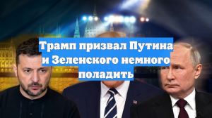 Трамп призвал Путина и Зеленского немного поладить