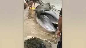 Рыбалка Против Стихии  Жуткие Моменты на Рыбалке, Снятые на Камеру