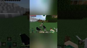 YouCut_20251017_133643979.mp4