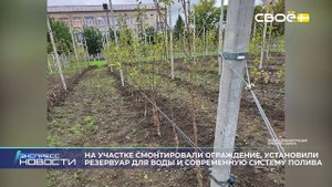 Новости на Своём от 17 октября 2025г. 21.00