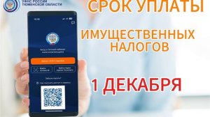 2_5444978316018748608