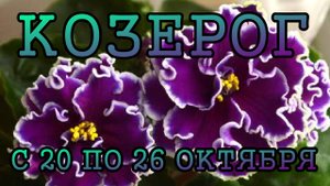 КОЗЕРОГ таро прогноз на неделю с 20 по 26 ОКТЯБРЯ 2025 года.