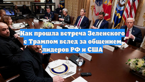 Как прошла встреча Зеленского с Трампом вслед за общением лидеров РФ и США