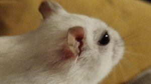 обхожу и прохожу 🚶🏼🏃🏼