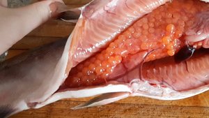 Какой сюрприз в рыбке?