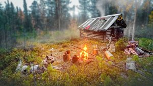 Таёжная избушка на дикой реке. Добрались с собакой до избы и обалдели. Чиним печь в избе.