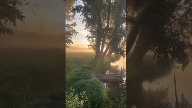 2_5368630285875317804