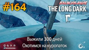 Выжили 300 дней. Охотимся на куропаток  | The Long Dark #164