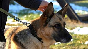 Большая область | 18.10.2025