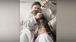 Прикольная реакция животных 🐾 на ветклинику 🤣
