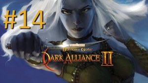 Прохождение Baldur's Gate: Dark Alliance 2 - Часть 14. Финал (кооператив)