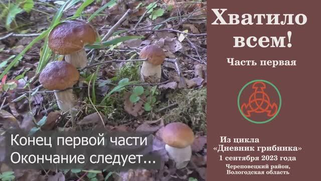 Хватило всем! Часть первая. Дневник грибника. 1 сентября 2023 года смотреть онлайн