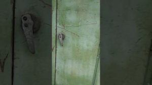 Станок окорочный 0К63-2