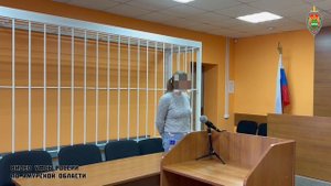 Приговор за оправдание терроризма, УФСБ России по Амурской области
