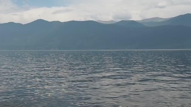 На южном берегу Телецкого озера (Горный Алтай) в пасмурную погоду (2017 год).