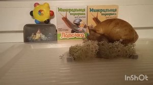 Я устал я ухожу??! Посмотри до конца и узнаешь что случилось с каналом Глеб самоделкин.
